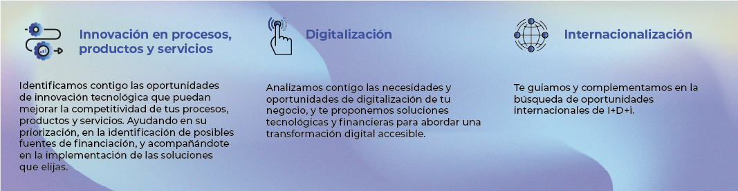 Innovación en procesos, productos y servicios, digitalización e internacionalización
