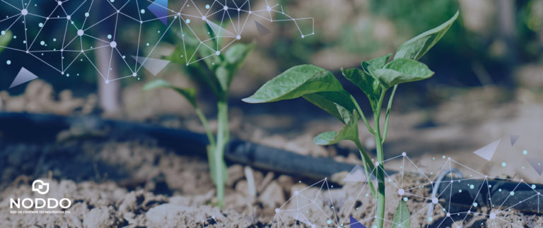 Medio ambiente y sostenibilidad, factores clave en la innovación y competitividad