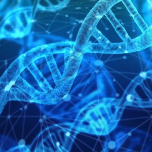 Bioinformática y genética avanzada