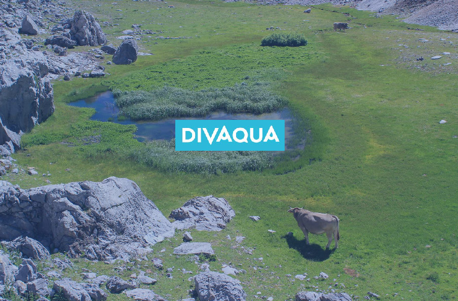 El proyecto LIFE DIVAQUA de Itagra, se dedica a la conservación de hábitats acuáticos y especies en los ecosistemas del Parque Nacional de Picos de Europa, promoviendo la sostenibilidad y la biodiversidad.