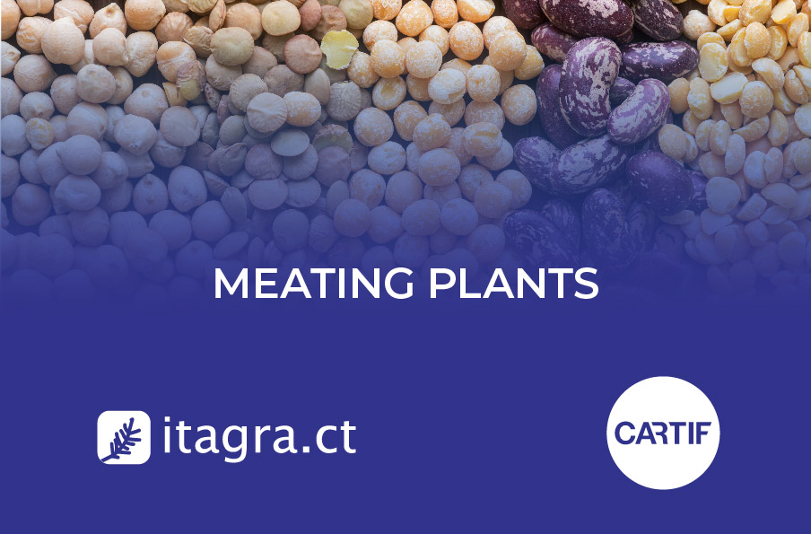 The 'Meating Plants' project uses pioneering technologies such as extrusion and texturization to create plant-based foods from indigenous plant proteins, driving sustainability and innovation in the food sector.