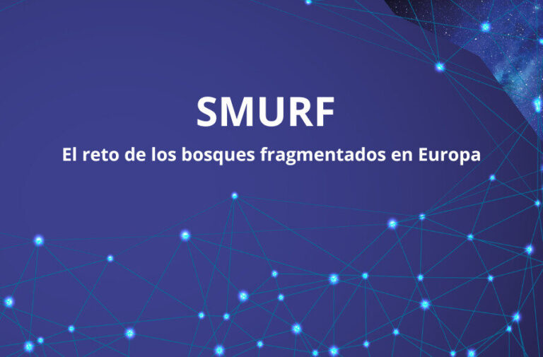 SMURF impulsa la gestión sostenible y nuevas oportunidades en los bosques europeos El reto de los bosques fragmentados en Europa