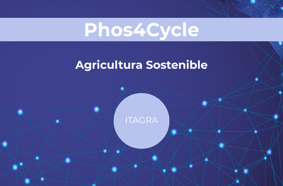Hacia una agricultura más sostenible gracias a la gestión del fósforo.