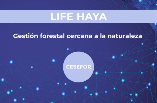 LIFE HAYA (HFH), del hayedo al hogar: construir con madera de haya Una gestión forestal más cercana a la naturaleza y una construcción más sostenible, conectadas en un mismo proyecto