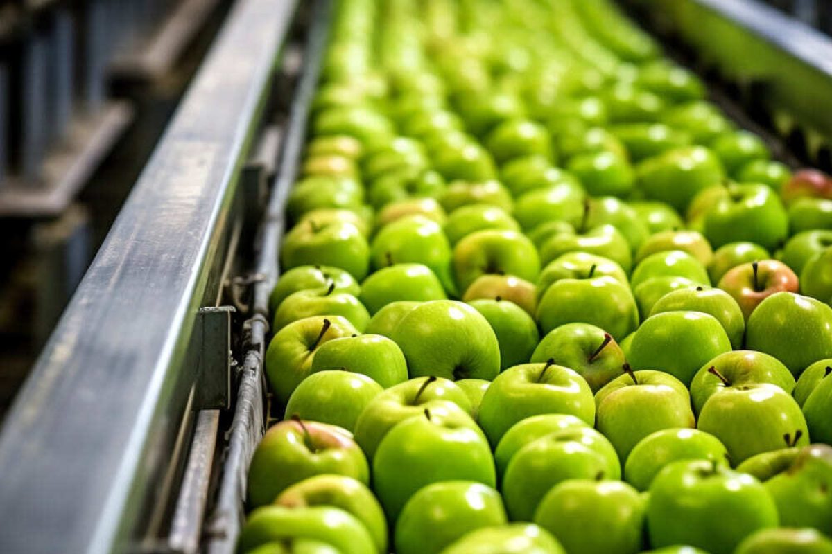 noddo-agroalimentario-eslabon-03-industria-alimentaria